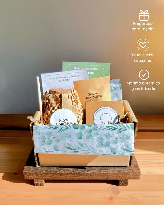 Kit Marimo Original
