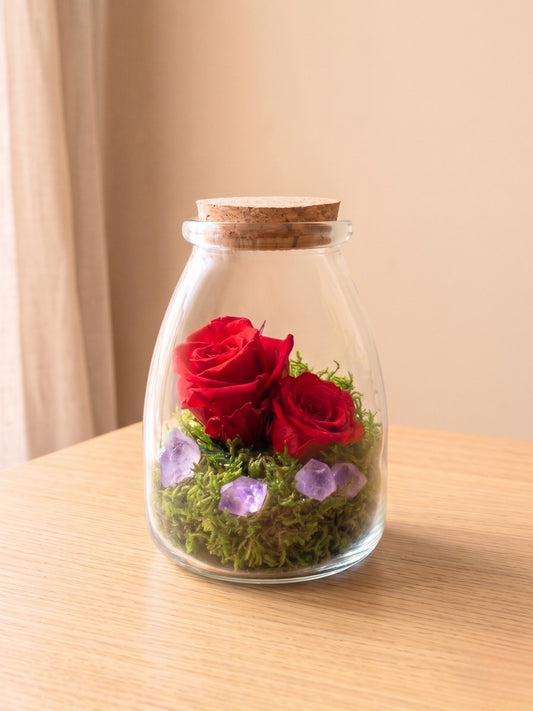 Rosa Eterna Mini