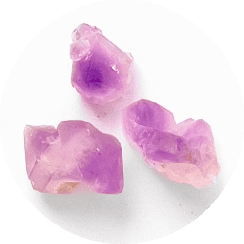 "Amatistas · 3 ·" - SlowBotanics