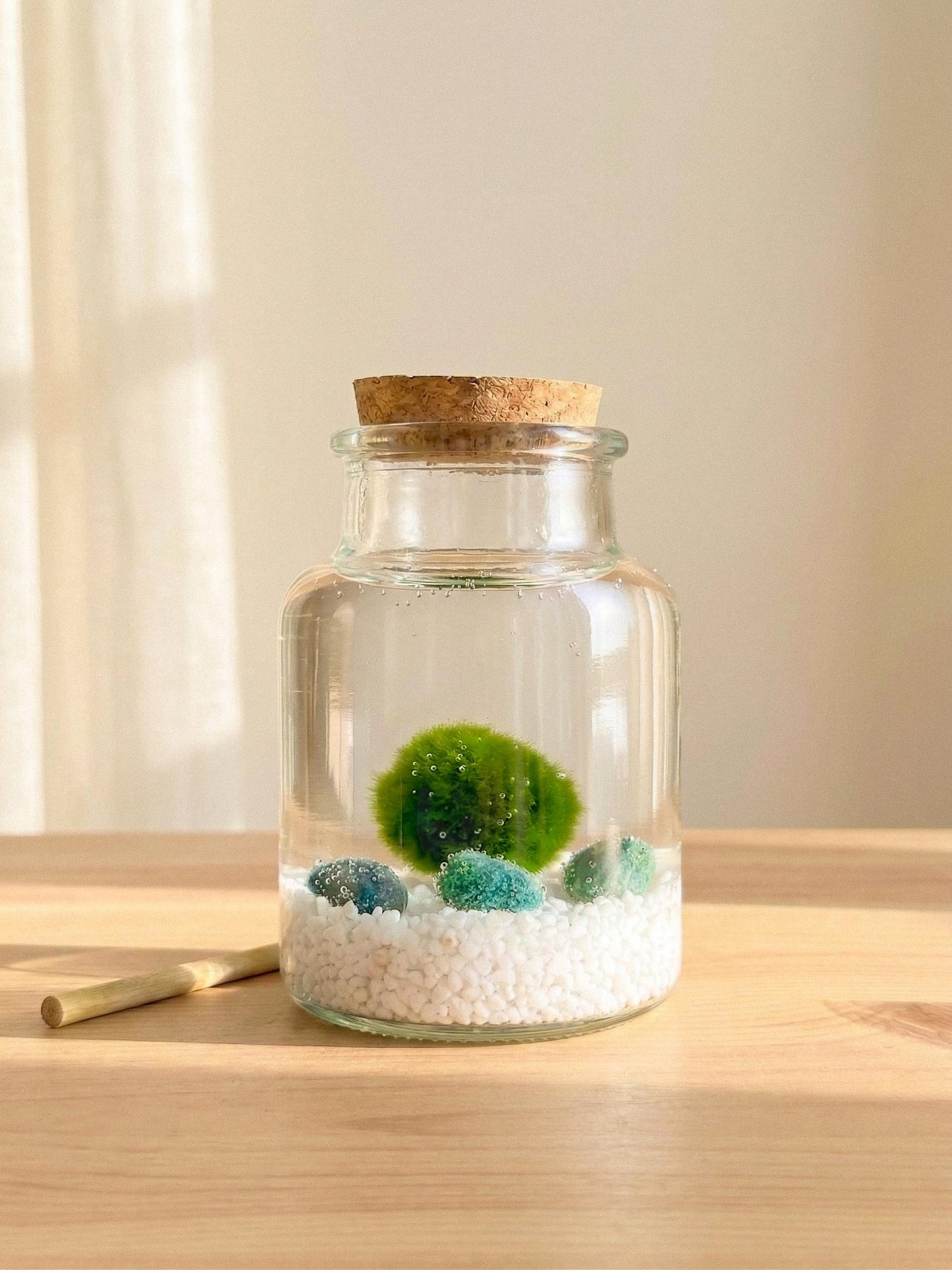 Kit Ritual Marimo 10 años