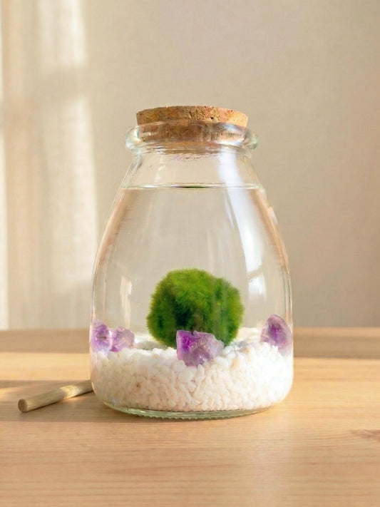 Kit Ritual Marimo 30 años