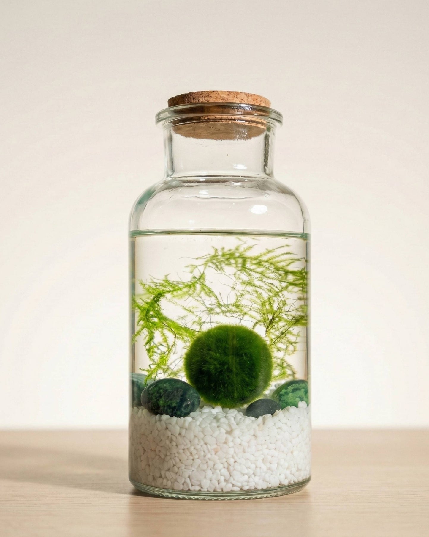 Marimo Original