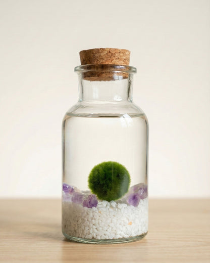 Marimo Original