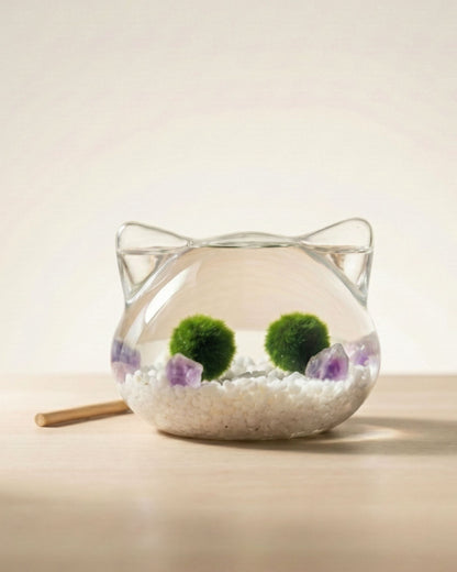 Marimo Miau