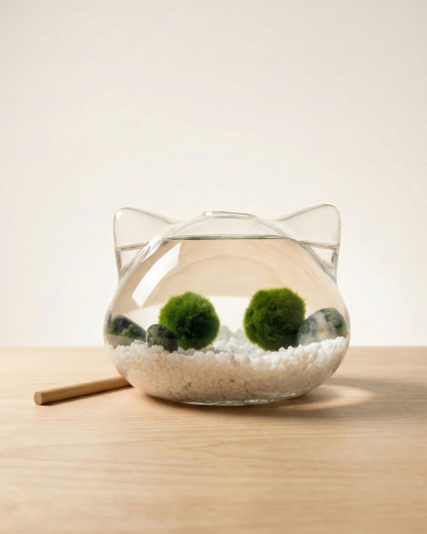 Marimo Miau