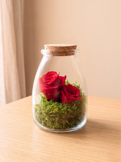Rosa Eterna Mini