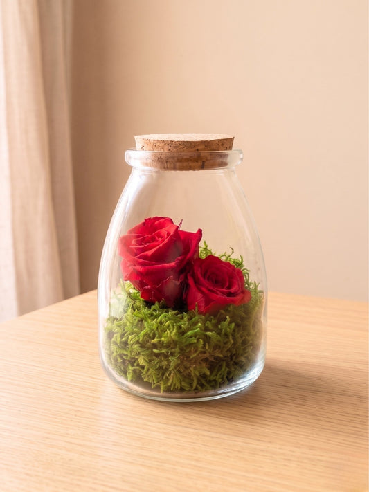 Rosa Eterna Mini