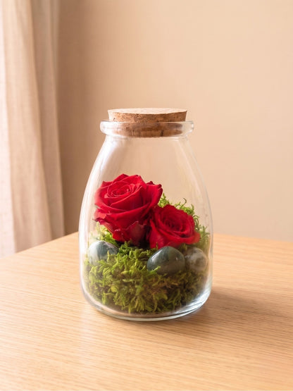 Rosa Eterna Mini