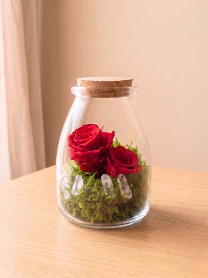 Rosa Eterna Mini
