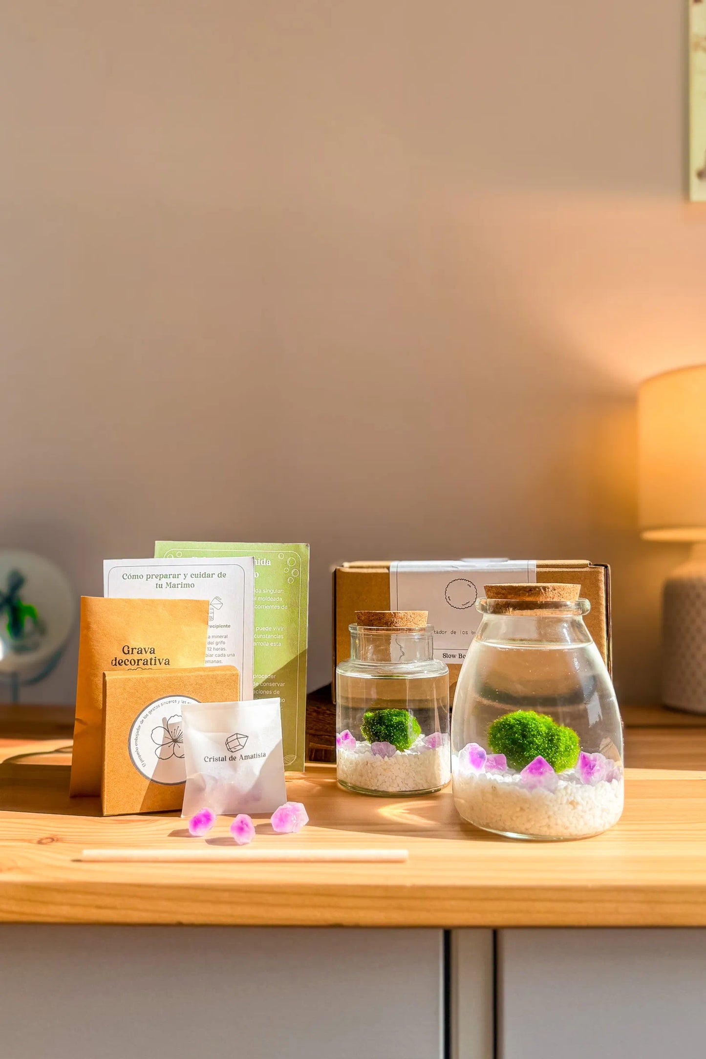 Kit Marimo Sakura, incluye guía de cuidados, leyenda y significado. Perfecto para regalar y expresar sentimientos como agradecimiento, amor, amistad.