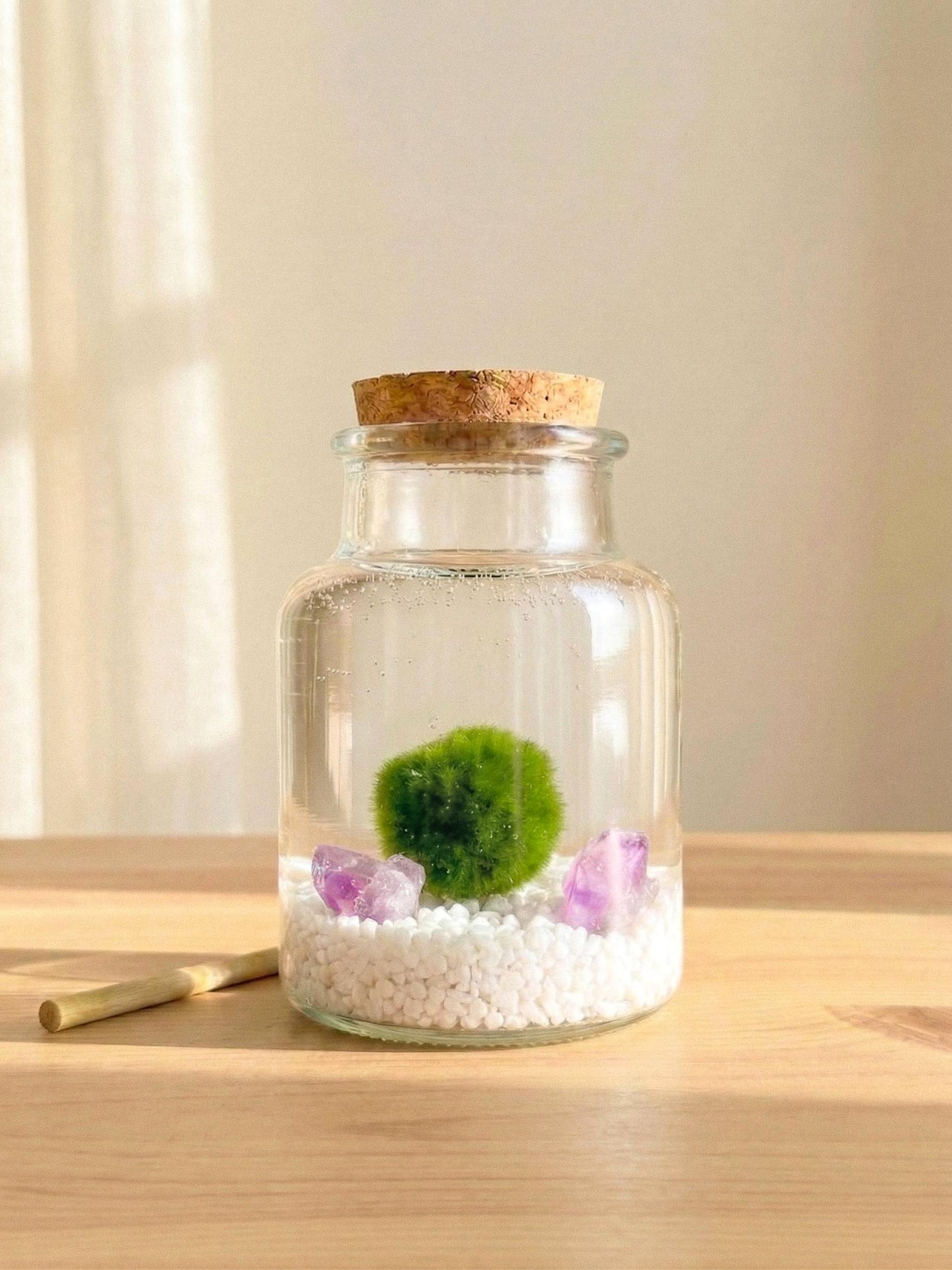 Marimo Original 10 años · Kit Ritual