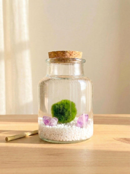 Marimo Original 10 años · Kit Ritual