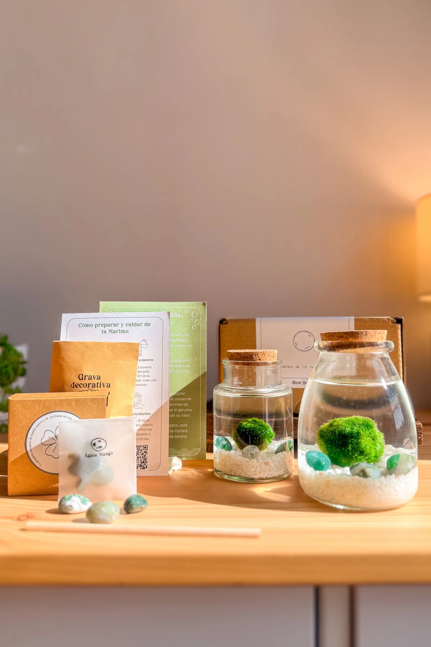 Kit completo de planta acuática Marimo, incluye como cuidarla, su leyenda y significado. Símbolo de nuevos comienzos y buena suerte.