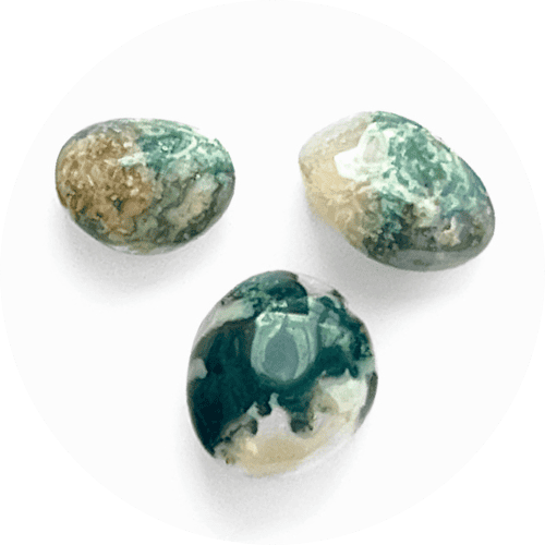 "Ágatas Musgo · 3 ·" - SlowBotanics