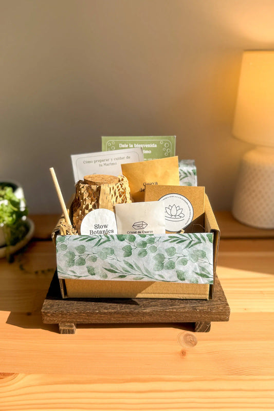 Kit de marimo auténtico japonés Okaeri de cuarzo con instrucciones, leyenda y significado cultural japonés