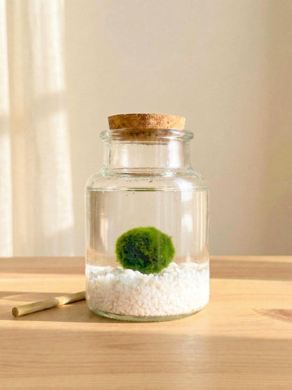 Kit Ritual Marimo 10 años