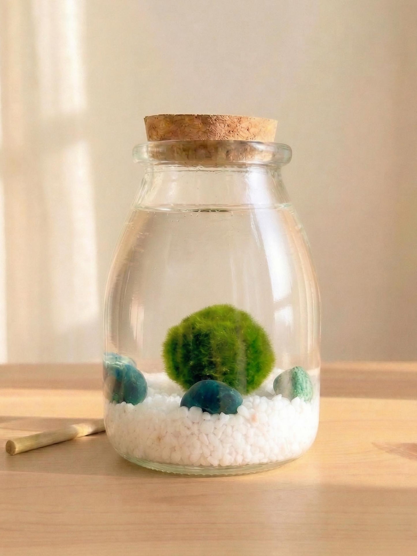 Marimo Original 30 años · Kit Ritual