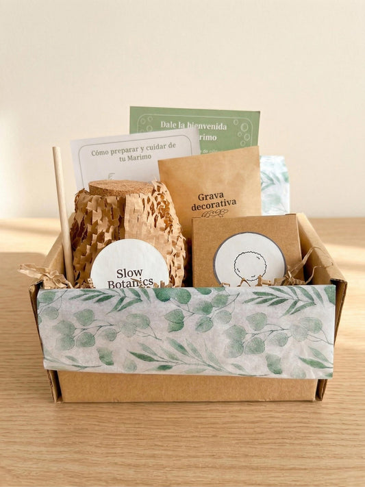 Kit Ritual Marimo 10 años