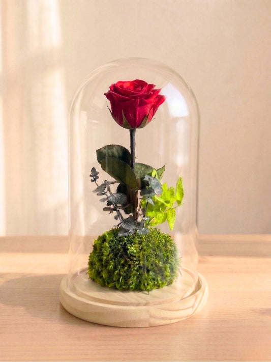 Rosa Eterna en Cúpula